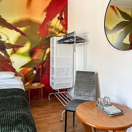 Radosna 3* Karpacz