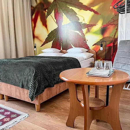 Radosna ゲストハウス カルパッチ